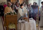Slava of Saint Sava Celebrated in Lakeshore